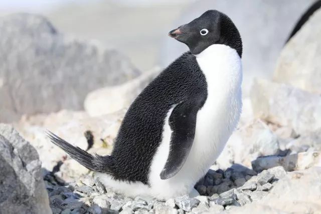 20180523152705774186208891.jpg 20180523152705774186208891.jpg