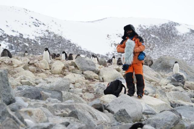 20180529152755956734309279.jpg 20180529152755956734309279.jpg